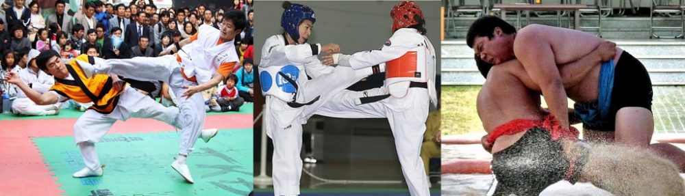 Arts Martiaux Coréens